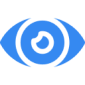 Vision Icon